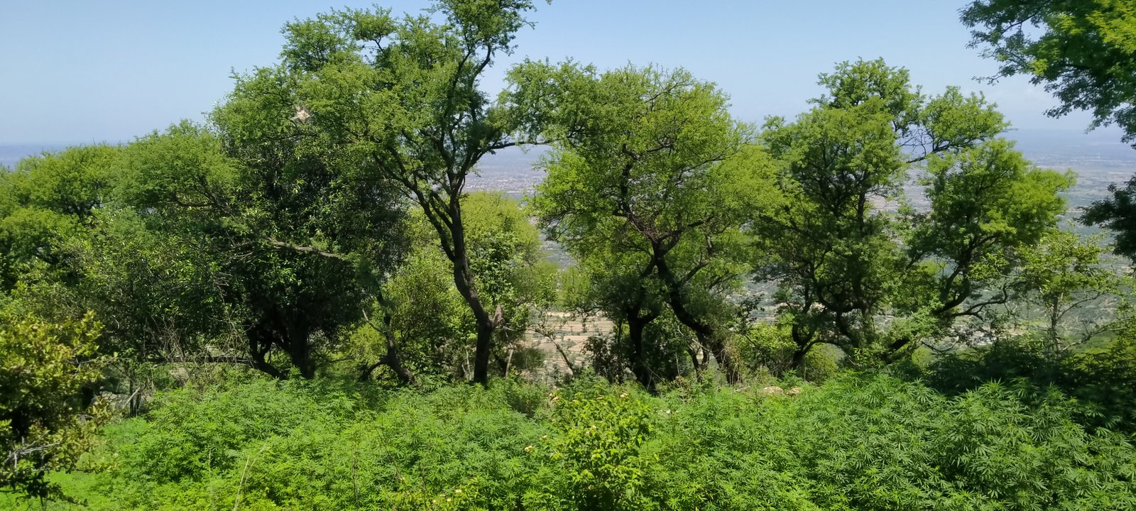 Travel Photo